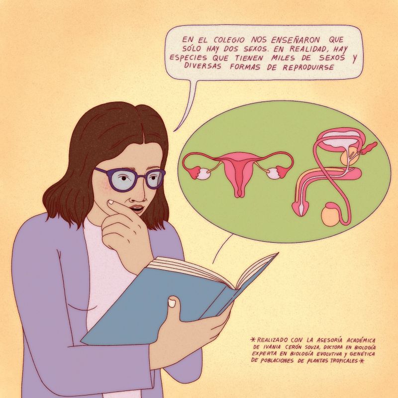 Nada más queer que la naturaleza